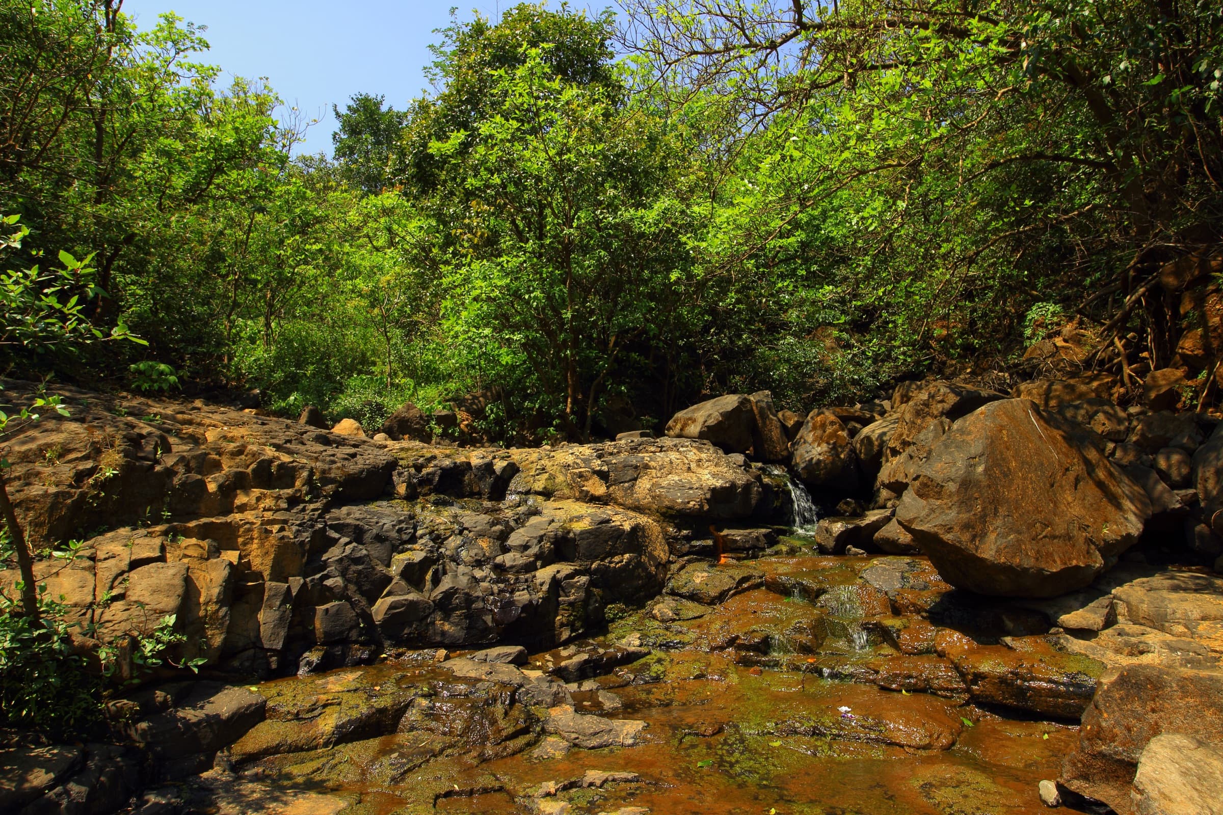Andharban Trek
