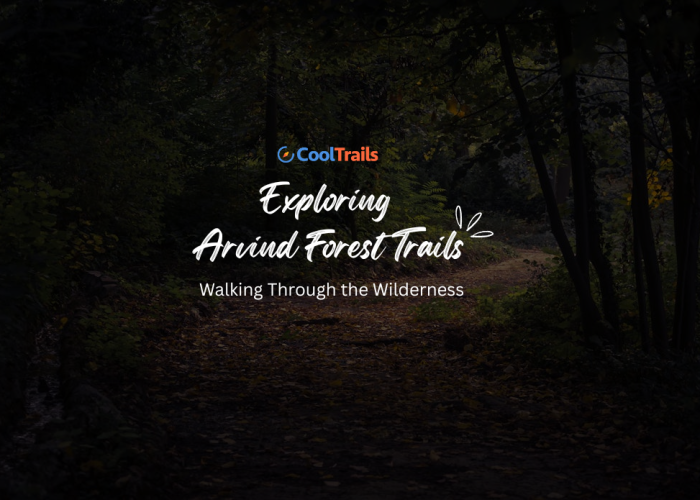 Arvind Forest trail