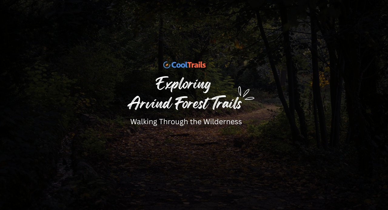 Arvind Forest trail